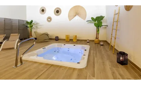 Accessoire pour Aquavia SPAS | Barre d'accès au spa encastrée