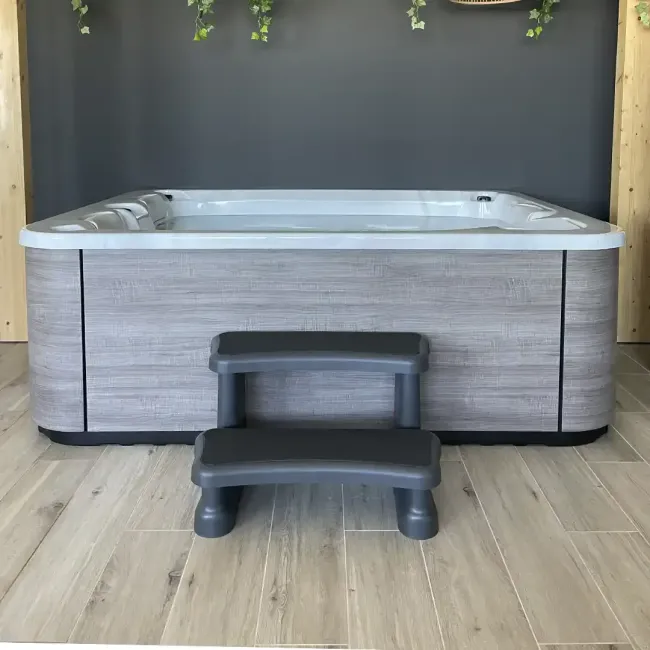 Accessoire pour Aquavia SPAS | Échelle d'accès de base