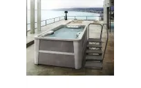 Zubehör für Aquavia SPAS | Swimspa-Zugangsleiter