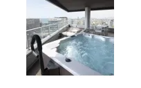 Accessoire pour Aquavia SPAS | Bar d'accès au spa