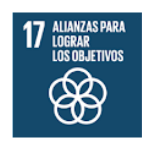 SDG: Ziel 17