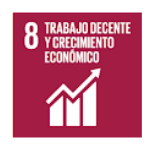 SDG: Ziel 8